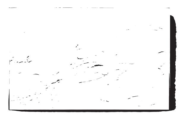 Soft Black Monochrome Patterns on White Background for Aesthetic Appeal