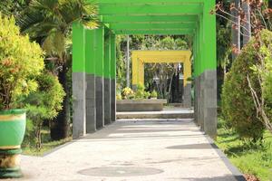 Colorful green and yellow walkway with surrounding trees, creating a vibrant park view photo