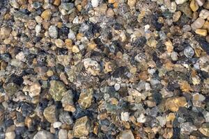 Natural pebbles of various colors and sizes submerged underwater with visible ripples and light reflections photo