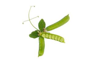 Pea pods surrounded by a green leaf with a pointed tip photo