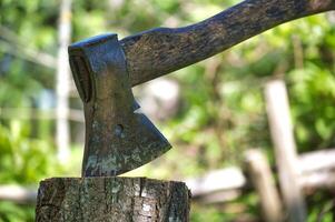 A close-up view of a rustic axe lodged in a tree stump, set against the backdrop of a sunlit garden photo