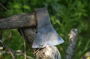 Old rusty axe embedded in tree trunk during forest chopping on a sunny day photo