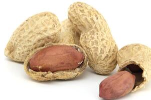 Close-Up View of Shelled Peanuts on a White Surface photo