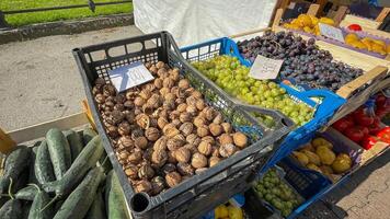 A vibrant farmers market stall features fresh cucumbers, walnuts, grapes, and pears, emphasizing sustainable local produce and healthy eating photo