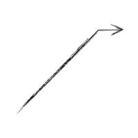 Capturing perpendicular spontaneity combined with direction vector