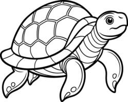 turtle coloring pages for kids vector