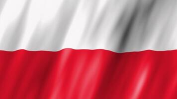 Waving animated flag of Poland. Animation of Waving flag of Poland Country video