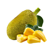 Realistic Jackfruit with slice on transparent background png