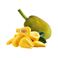 Jackfruit on transparent background png