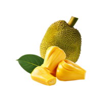 Jackfruit with slice on transparent background png