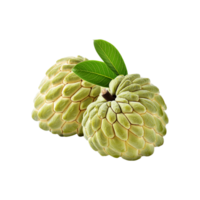 Custard apples on transparent background png