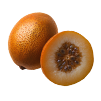 Manilkara zapota fruit . sapodilla, sapote, chicozapote, chicoo, chicle, naseberry, nispero, or soapapple fruit . Sapodilla png