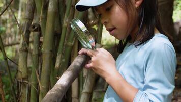A girl examines insects through a magnifying glass while exploring the nature of a forest on a sunny day. Outdoor ecology school lesson. video