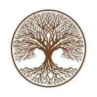 A tree with roots in a circle on a white background vector
