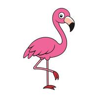 Flamingo Bird Isolated Design - Adorable Flamingo Illustration vector