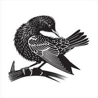 A black and white illustration of a bird sitting on a branch vector