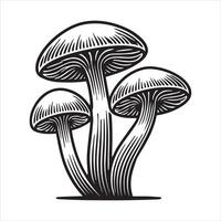 A mushroom icon isolated in a white background vector
