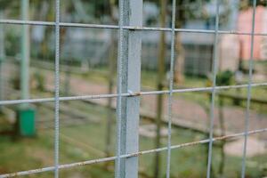 greenhouse structure with rusted metal frames and green walls photo