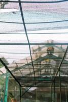 Greenhouse with black shade netting and metal frame, soft sunlight filtering through photo