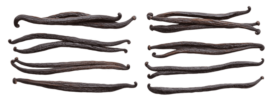 isoliert Vanille Bohnen hell Oberfläche, Hervorheben ihr Reich Textur png