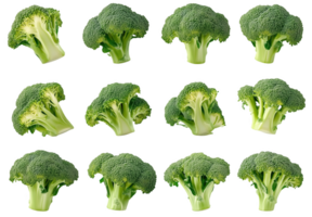 A vibrant display of broccoli florets showcases their rich green hue and intricate texture png