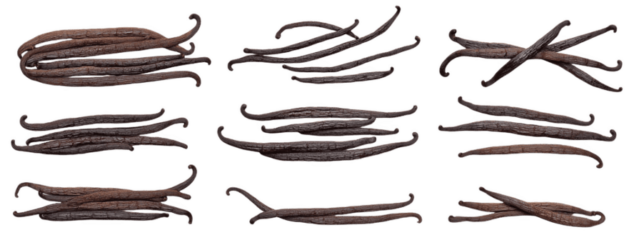 kunstvoll Anordnung von reich, aromatisch Vanille Bohnen png