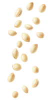 Scattered peanut shells creating a whimsical layout backdrop png