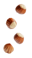 Floating hazelnuts captured in a whimsical display backdrop png