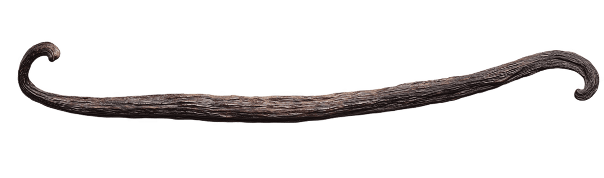 elegant lg Vanille Bohne anmutig geschwungen makellos png