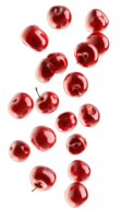 Delicious red cherries falling gracefully png