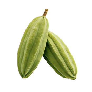 frisch Grün Kardamom Schoten präsentieren ihr beschwingt Farbe und einzigartig Textur png