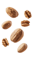 Floating walnuts create an artistic display minimalist png