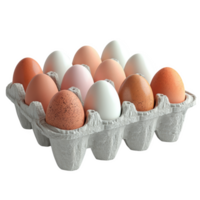 Carton filled with assorted eggs in a frosted setting on a kitchen countertop png