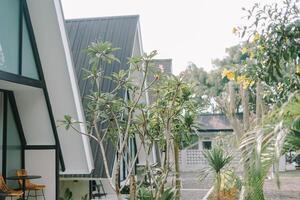 Modern A-frame cabin with large windows and a wicker chair in a cozy outdoor setting. photo