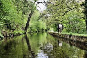 A man standing on a bridge looking at a river photo