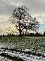 A lone person sitting on a bench in a field photo
