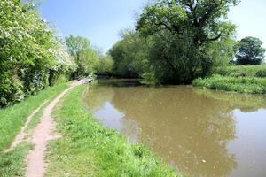 A path along the side of a canal with a tree in the middle photo