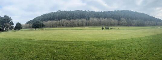 A golf course with trees and grass photo