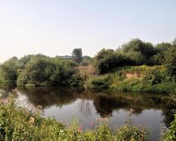 A river with trees and bushes in the background photo