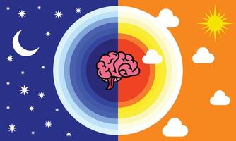 Illustration design Circadian rhythms and sleep wake cycles how exposure to sunlight regulates melatonin secretion in the human brain and body processes vector