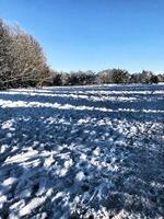 A field covered in snow with trees and blue sky photo