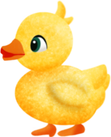 Yellow ducky watercolor png