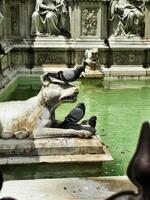A statue of a dog photo