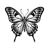 A black and white butterfly on a white background vector