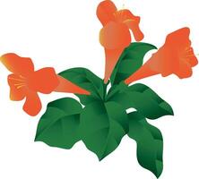 A Close-Up of Radiant Orange Flowers Surrounded by Lush Green Leaves, Bathed in Sunlight, Creating a Beautiful Natural Contrast vector
