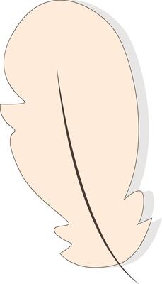 Feather illustration design