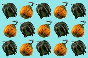 Pumpkin isolated on color background. Pattern collage photo
