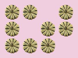 Pumpkin isolated on color background. Pattern photo