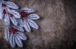 Christmas festive background with fir tree photo