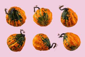 Pumpkin isolated on color background. Pattern collage photo